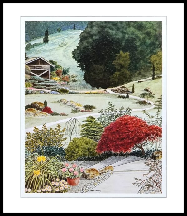 BH 107 Japanese Maple